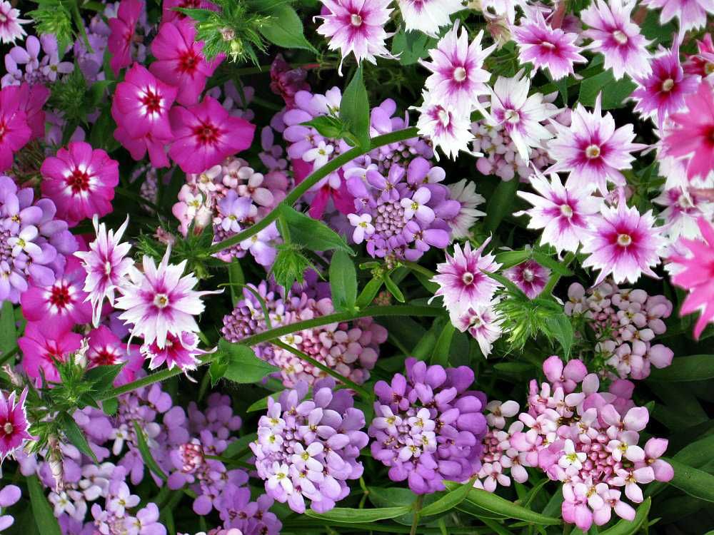 ���������� �������� �������� 60 ����� ������������