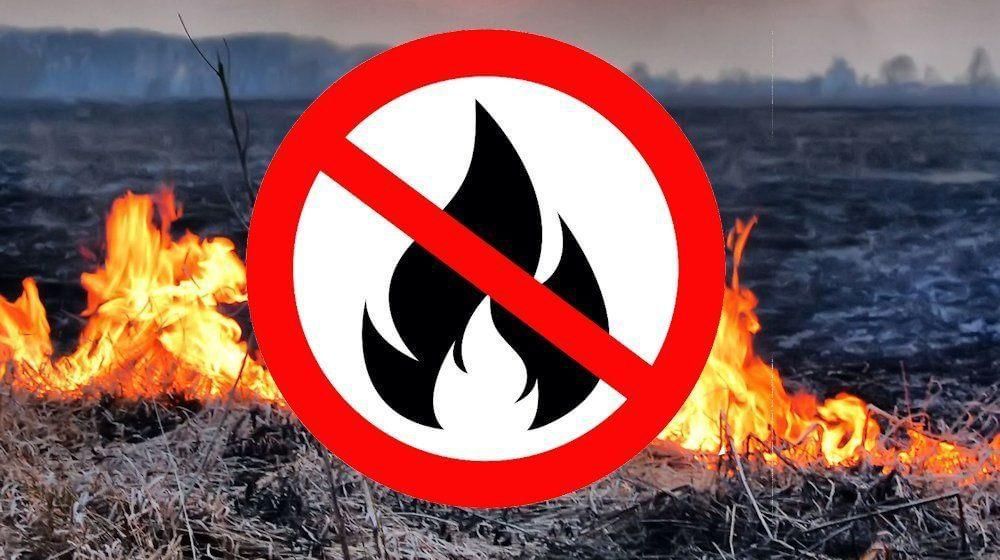 ������������ ������������� � ������ ����������� ������ �� ������� ������� �������� ������������� ����������