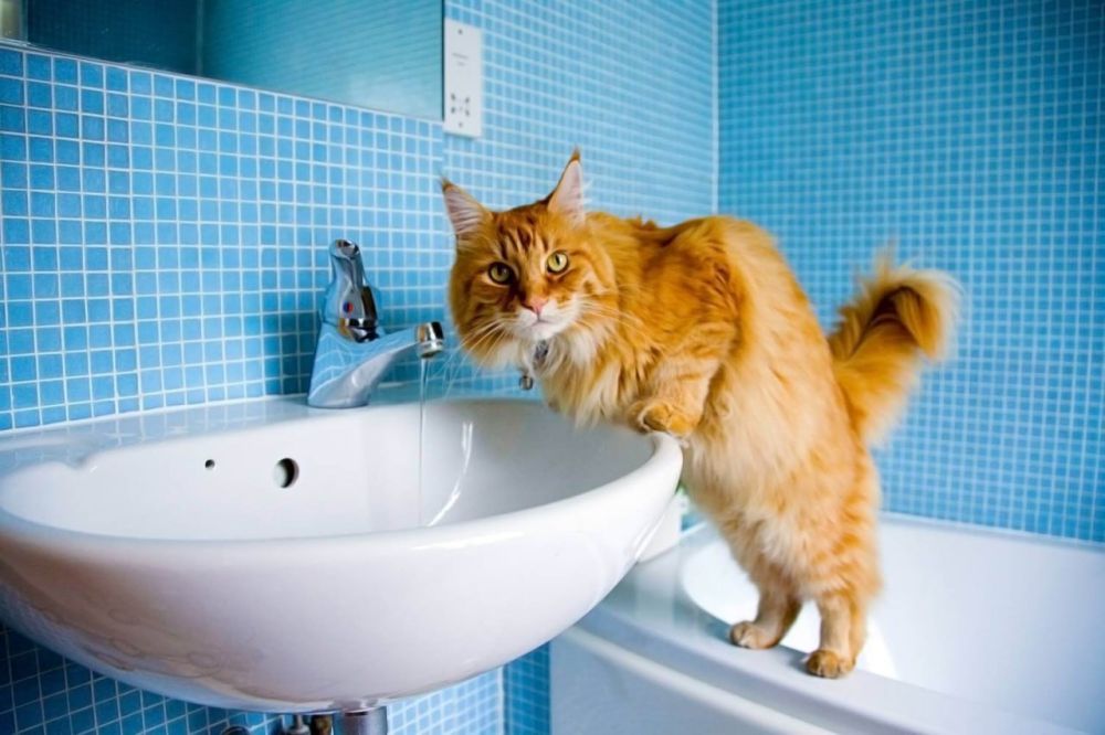 ������������ ������������ � �������� ������ ���� �� ��������� ������� � 23 �� 26 ���