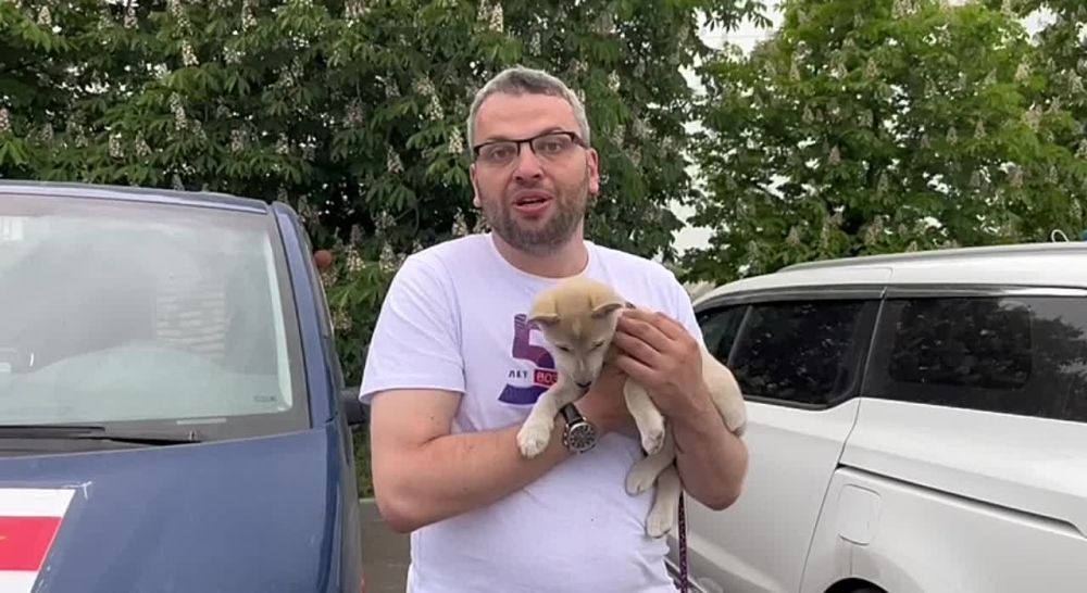 ���������� ����� ��������� �������������� � ��������