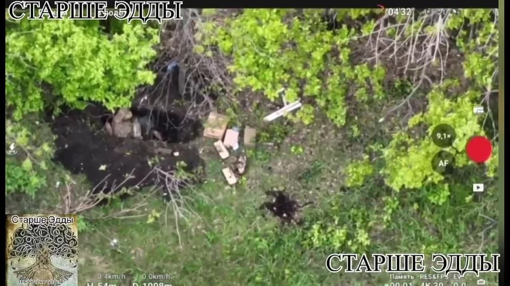 �����, �� ������� ������ ������ ����� �� ������� ��� �� �������-��������� �����������