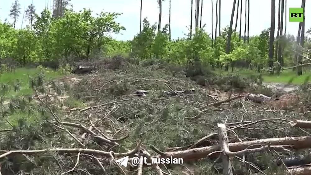 �������� ���������� � ����������: ��� ����� �������� ������-������ ���������� ������� ������� �� �������� ������� ������ � ���������