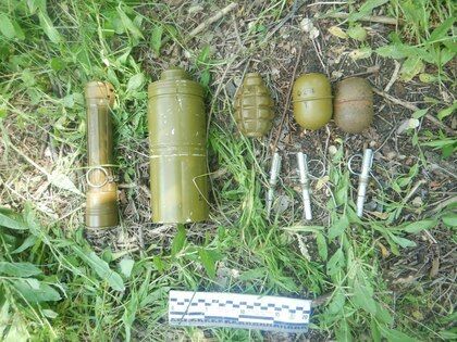 ��������������� ������ �� ������� �� ��������������� ����������, ������� � 2,4 �� �������