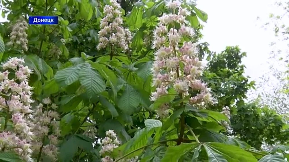 ��� �������� ��������� ����� ��� ������� �������� � ��������� �������� ���������