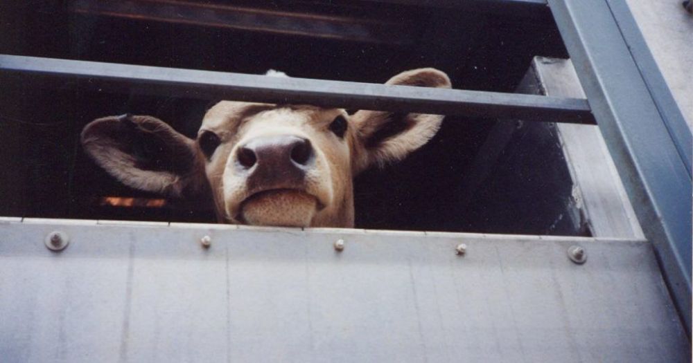 ���������������� ���������� � �������� ����������, ���������, � ������� ������� �������� ��� ���������������