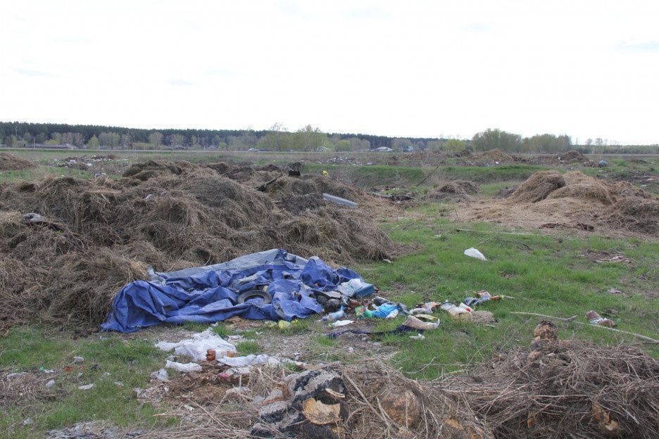 ����� ������ ���������� �� ������ �� ������ ��������������������� ����������