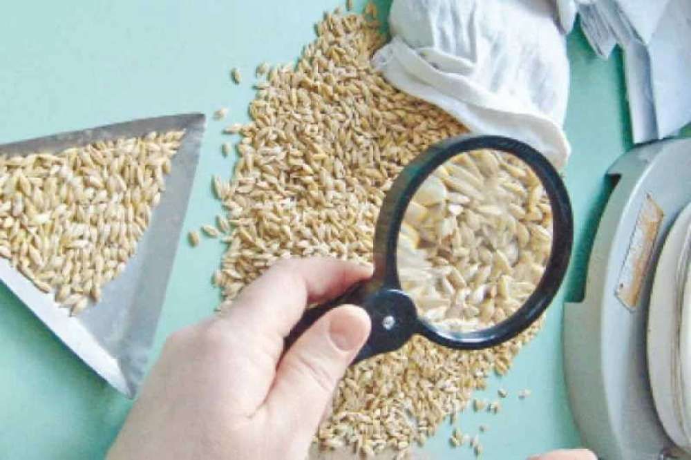 ���������� � ������� ������������� ��� ������ �����, �������� � �������� �������� ������� �� ������������� ����������� ����������