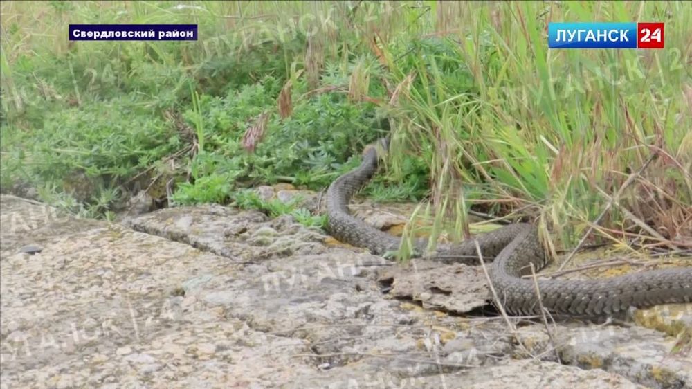 ������ ������ ��� ��������� ������������ ������ ���������� ���������� ����������� ����������� ������