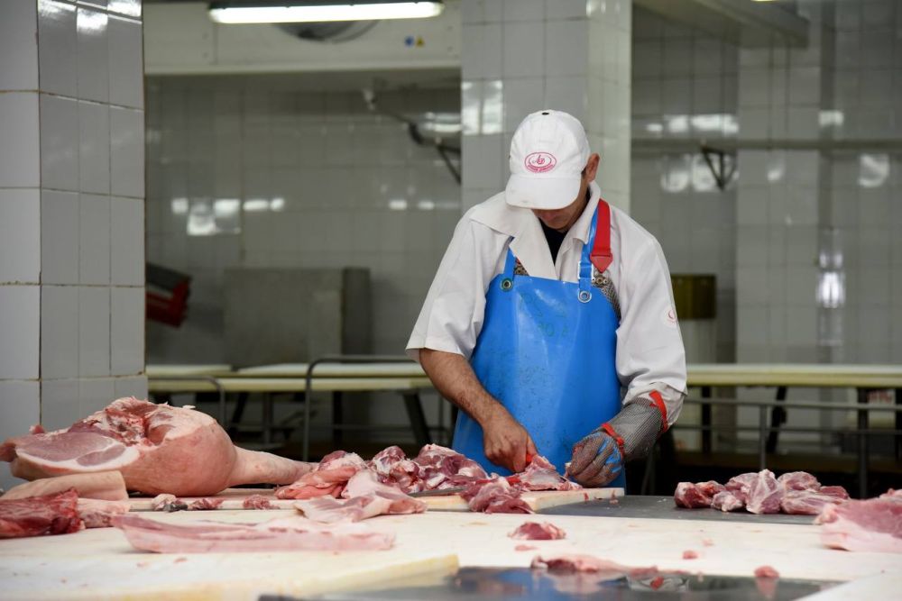 ������ ��������: � ���� ����������� ������������������� ������� ��� ���������� ������������ � ������ �� ������������ ��������� ������� � ������ �������������� � ����������