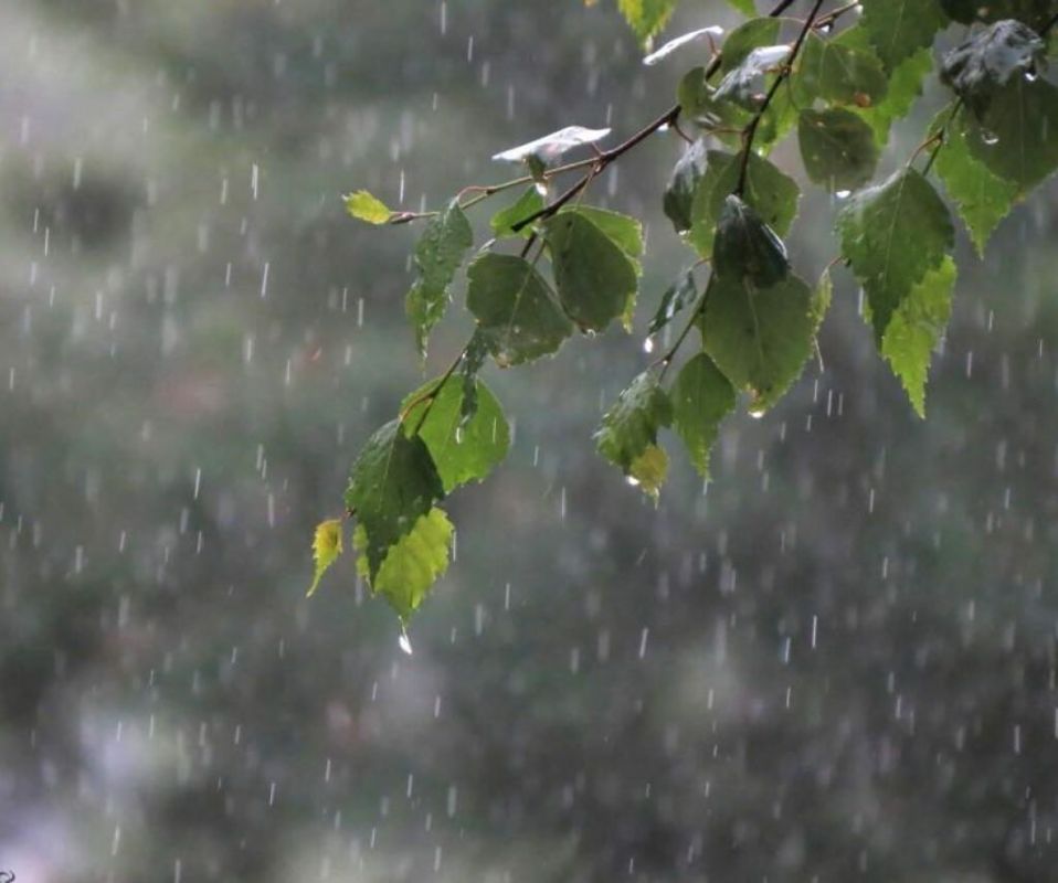 ��������������� ����� � ����� ��������� ������ � ��������