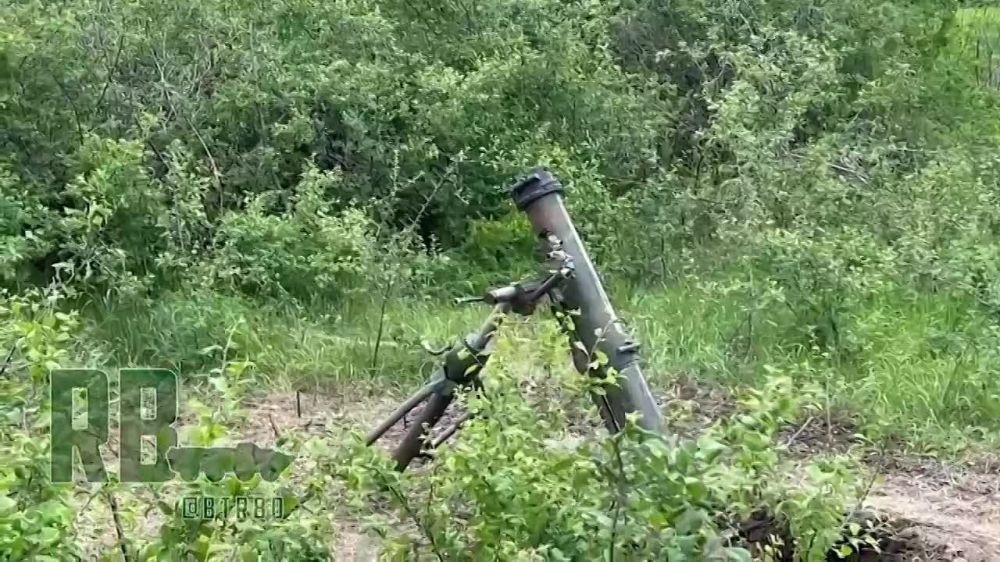 ����������� "��������" �������� ��� �������