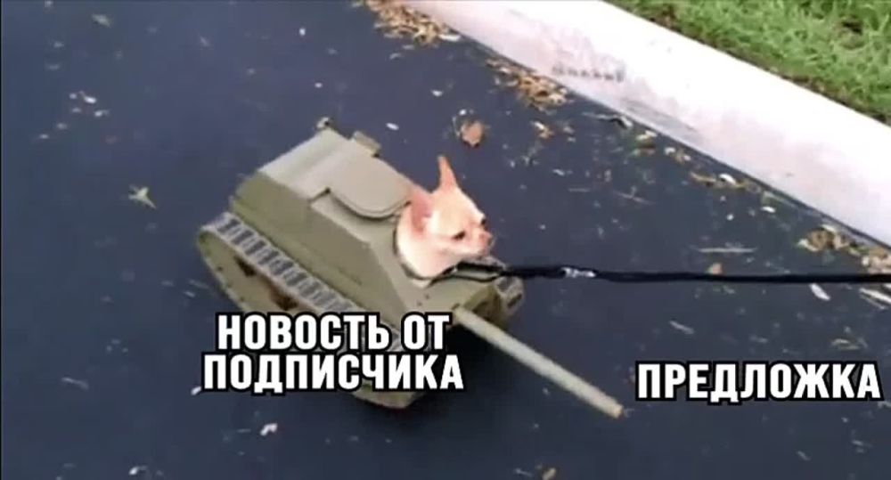 ������, ��� ���, � ��� ����� ���� ����