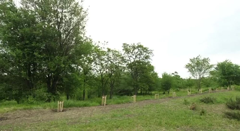 ������ ���� ������������� ���������� ������� � ������ ������������ ������ � ��� � ���