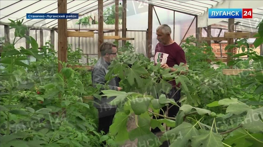 ��������, ������, �������� � ����� � ��� ����� � ����� ���������� � ����� �������� ��������������� ��������-���������� ������