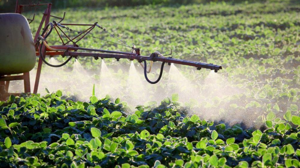 �������� ����������������� � ������� ����������� ��������� ���������� � �������������