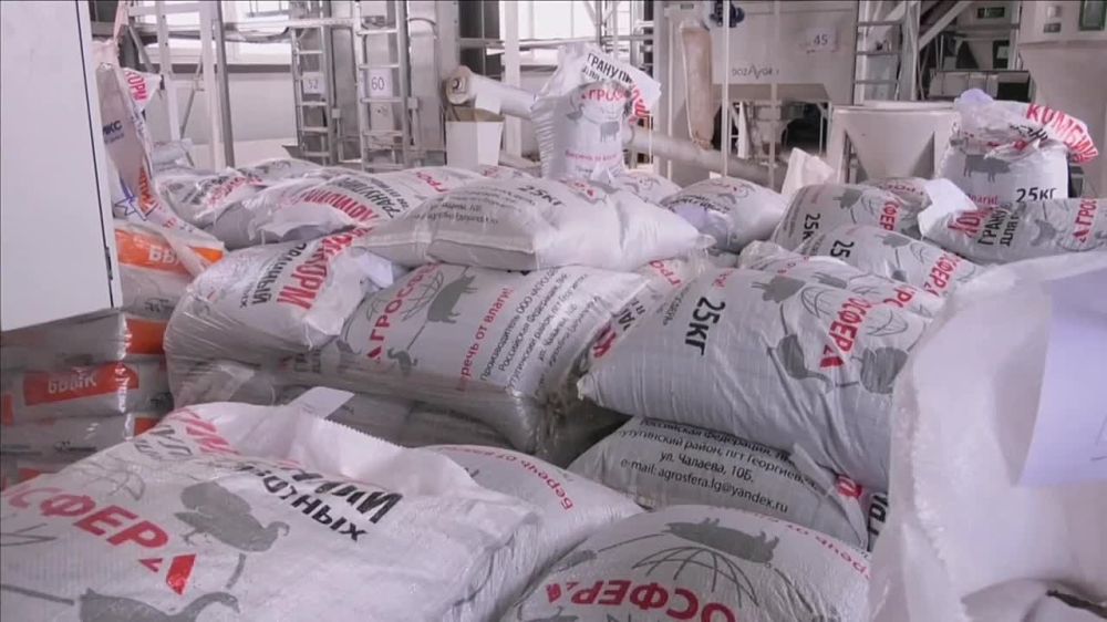 ���������� ���������� �������� 24� ��������, ��� ������� � �������� �������������� ��������, ���������� � ������� ���������� ���� ���������� ������������ ������