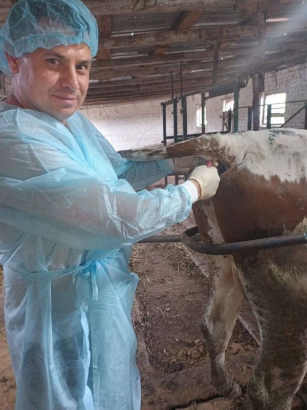 ���������� ����������������� ���������� � ���������� ���������������� ����������� ���������� ��������� �������� ����������