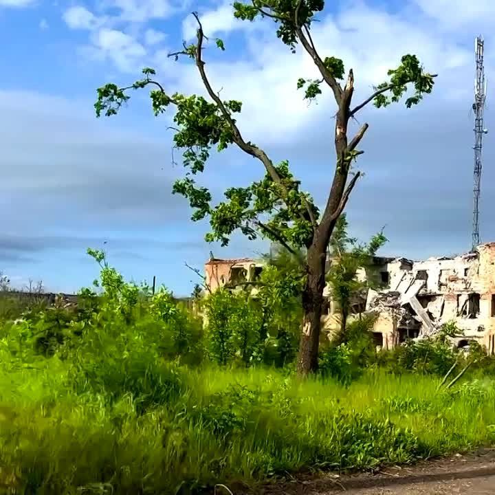 ���������� ���������� ����� ������� ������ ���������� ����������� �������� ������� ������������� �������� (������)