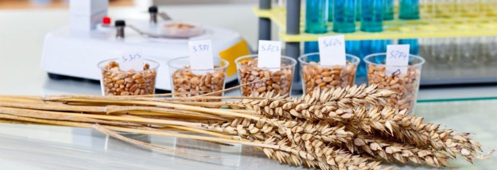 ��� ������� �������������� ����� � ��� ������������ ��� �����������