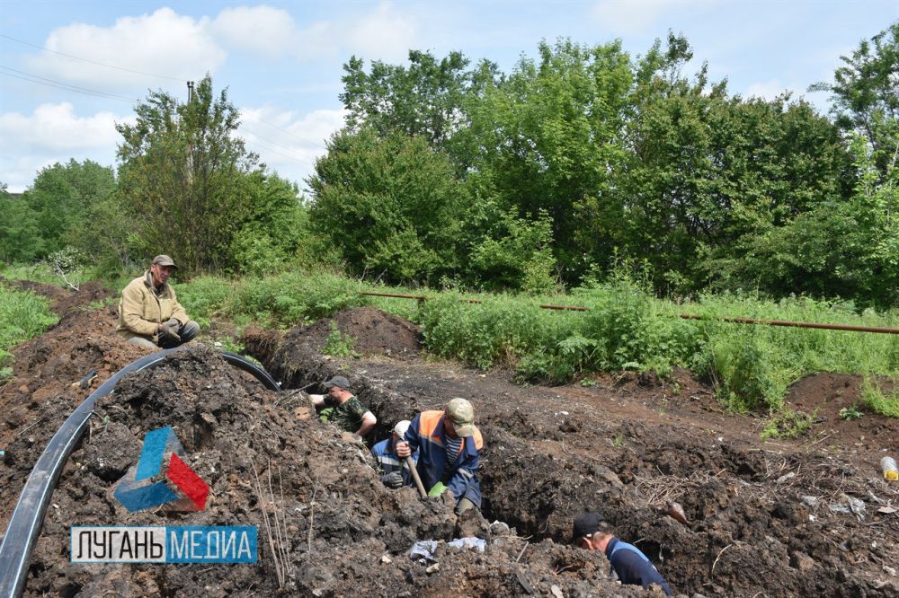 ����������� ������������� ��������� ������ �� ������ ���������� ������� ������������ �� ����� ������ � �����������