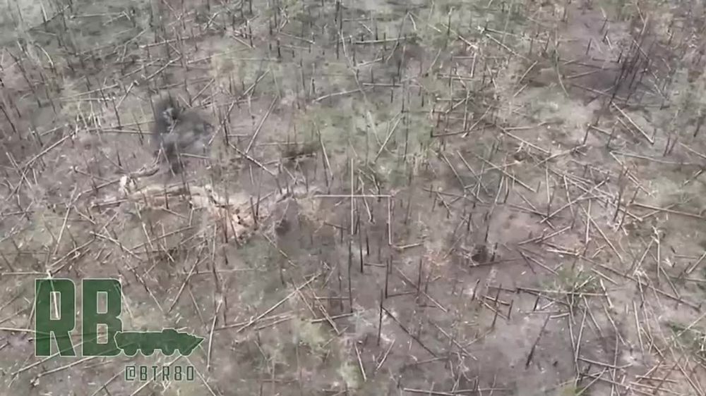 ���������� ������ ����������� "�" ������ ������� ���������� �������� �� ����� �������-���������