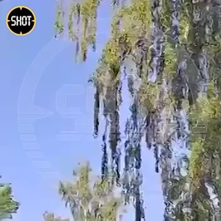 ���� ��� ��������� ����� ���