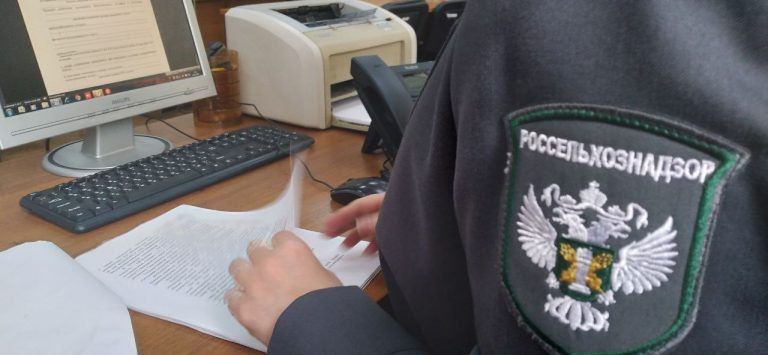 ���������������� ����������� � ������ ���������������� ��������