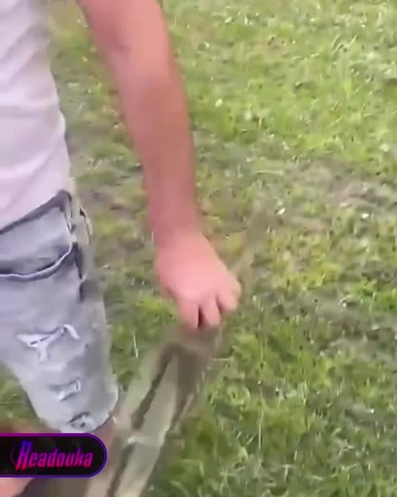 � ����� ������ ��������� ����� � ����������������, � ����������� �������� �����������