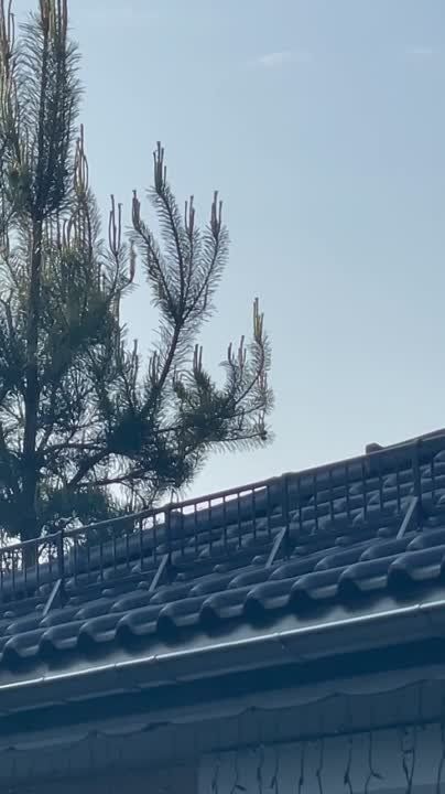 4 ������������ ����� ��� ������ � �����������