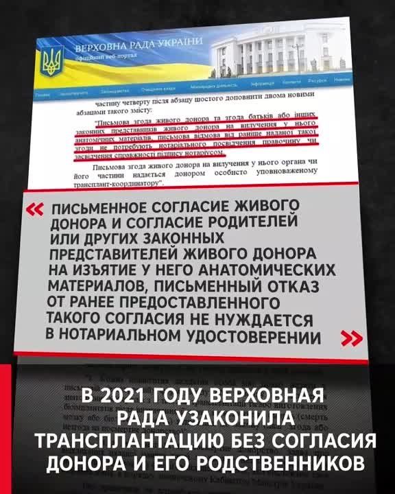 ������� � �������� ���� ����������������