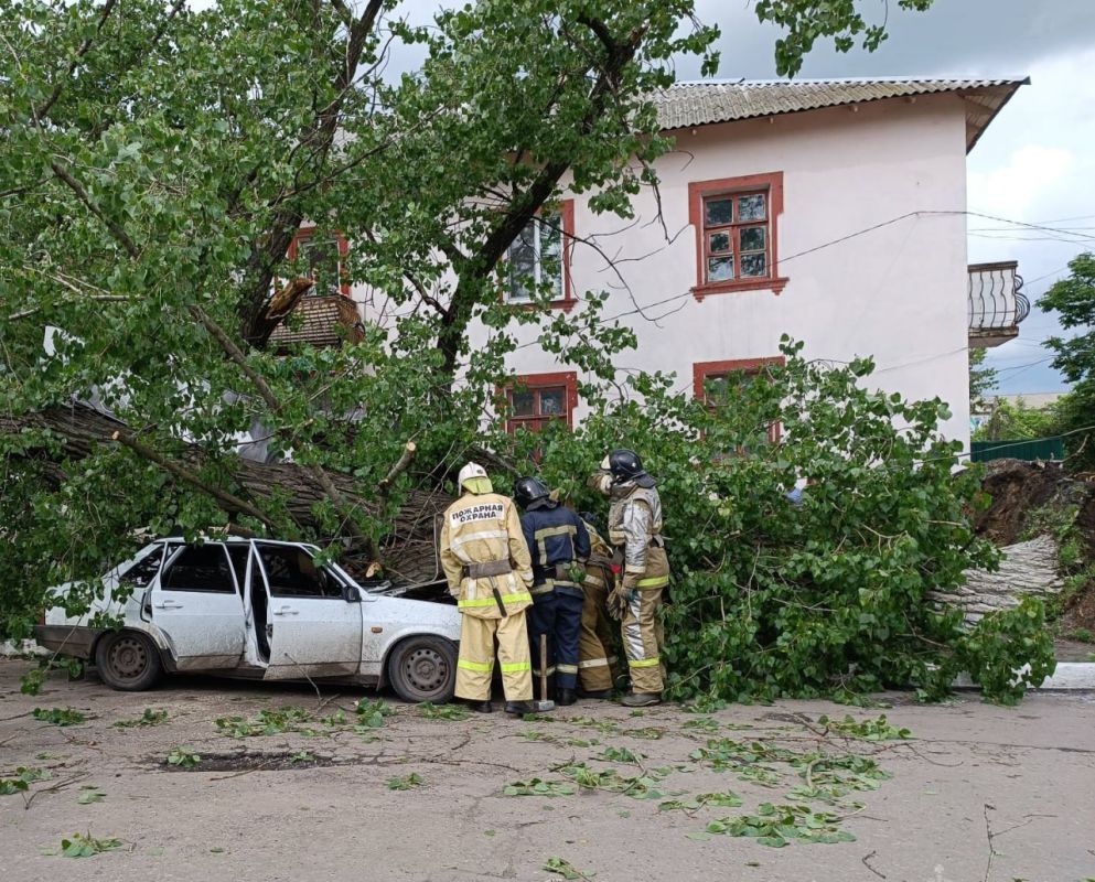 � ��������� ��������� �������� ������� �� ������, �� ������� ����� ������