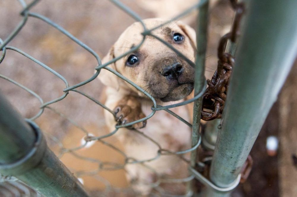 ������ �������� �� ��������� ���������