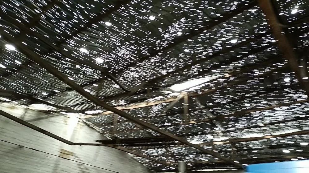 ����������� �������� ������� ������� (���)