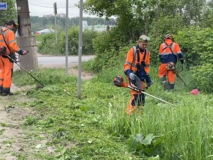 � ������ ����������� ������ ���� ������� �������