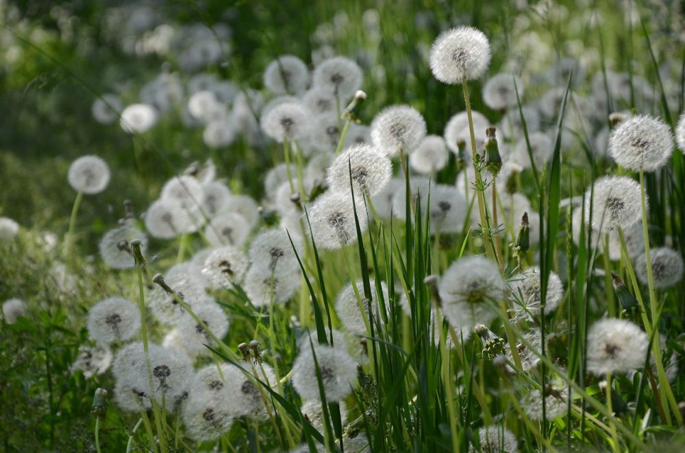 ��������� ������������ �� 23 �������� ����� ������ � ��������