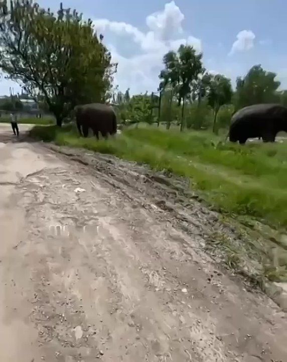 � �������� �������� ��������������