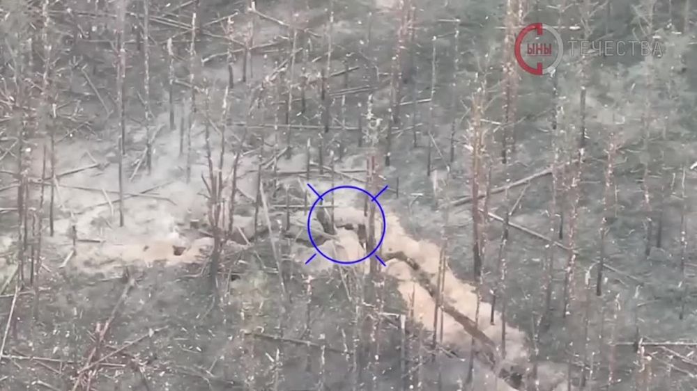 4-� ������� ����������� "��" ��������� �������� ��� �� ���������� �����������