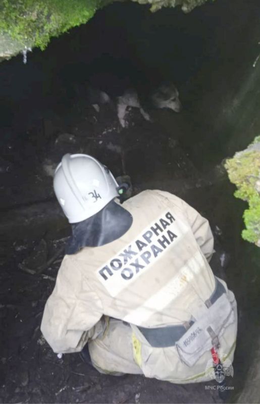 � ������ ��������� ��������� �������� �� ������������ ������� ������