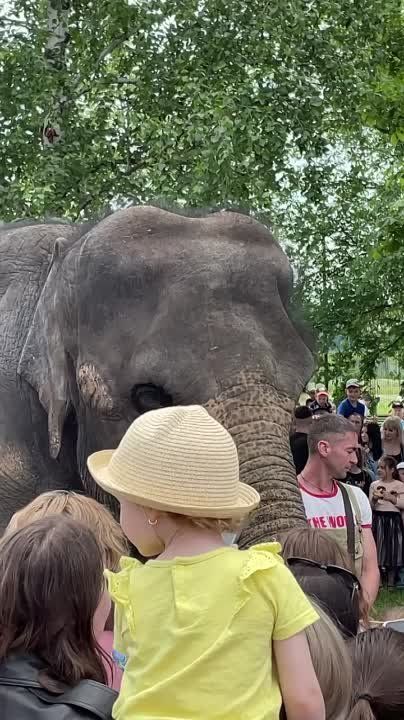 ��������� ��������: ��� ������ ������ ������� ������ ������� � ��������