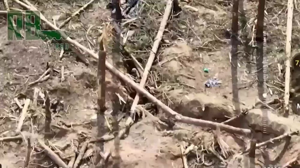 �����. "�������" �������� ������� ��� �� ���������� �����������