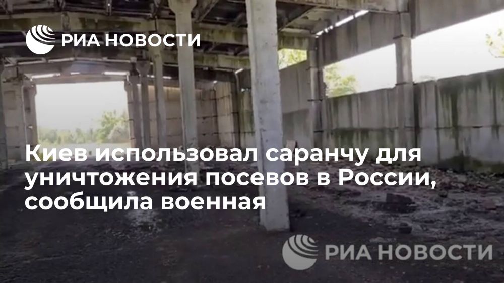 ����� ���������� �������� ���������� ������� ���������� � ����� ����������� ���������� ����� �� ������������� ���������� ���, ������ � 2019 ���� �������� ��������� ���� ��������� �� ������� � ���������� �������, �������� ��� ������� �������������� �� ��