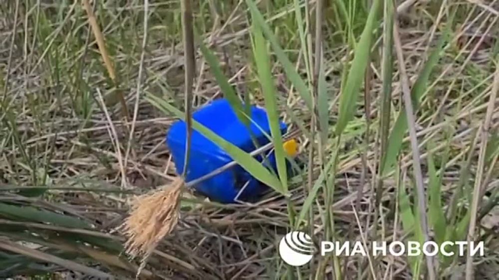 ������� ������������ ������� ��� ����������� ������� � ��� � ������ �������� ������, �������������� ������� �� ������������� ���������� � ������� ���������