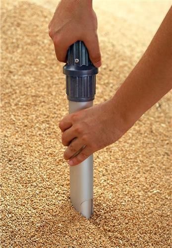 ����� ���� �����. ��� ��� ��������� ��������