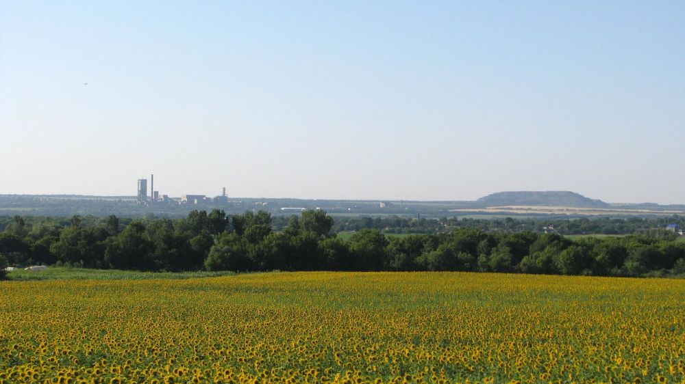 �������. 85 ��� ��� ��������