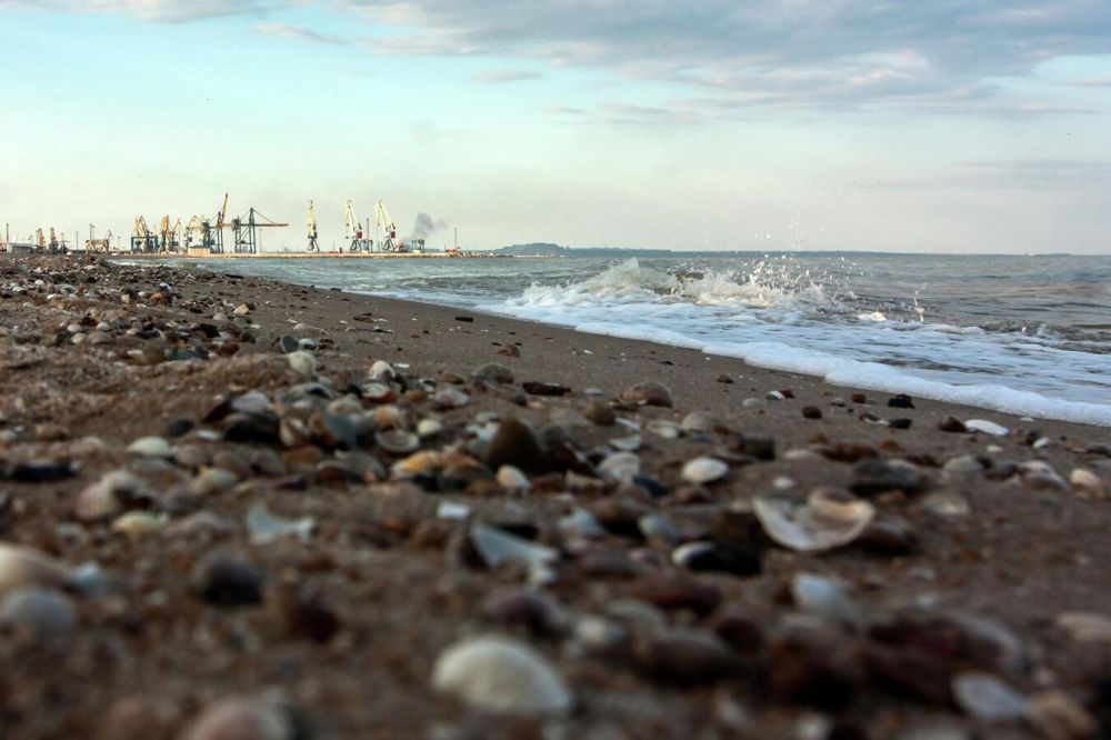 � ��� ������ ����� "���� ������"