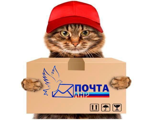 ��������� � ������ "����� ���"