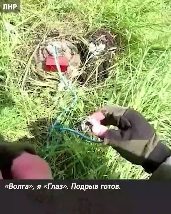 ���������� ������ ����������� ������������� ���������� ���