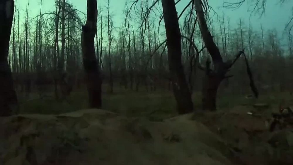 ���������� ������� �������� �������� ���� �� ����� �������-���������