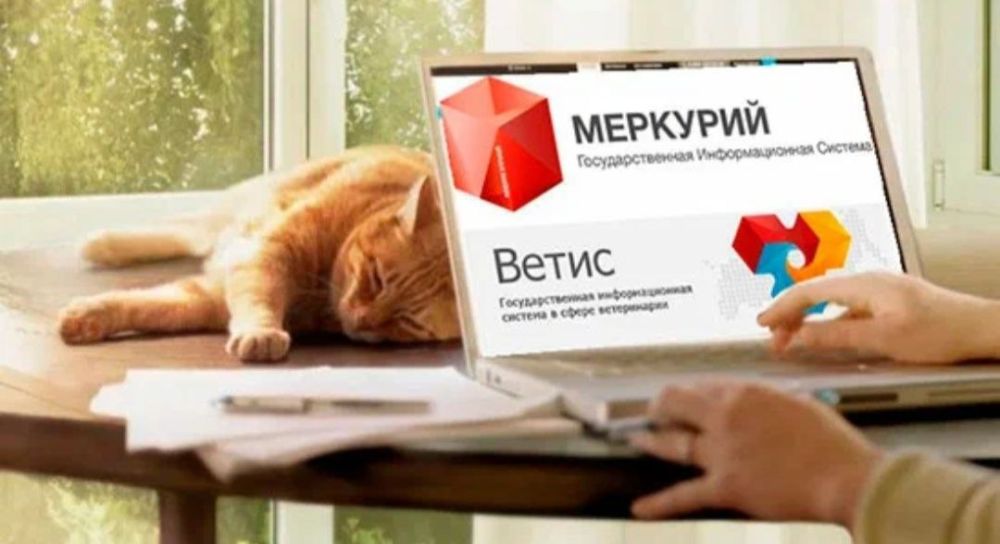 ������� ������������� ������������� �������� (�������) ��� ����������� (���������) �������������� �������