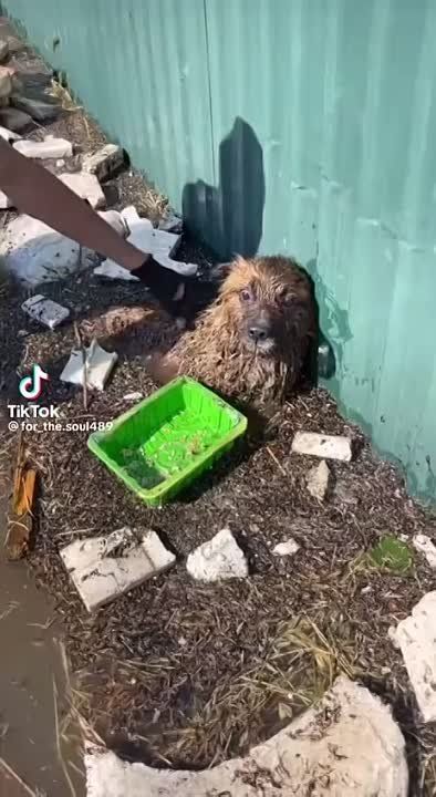 �������� �������� �������� � �������